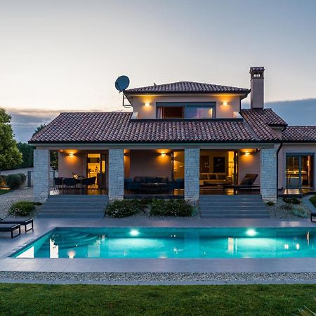 Villa Labin In Zartinj - Luxury Privacy Heated Pool With Auto Cover المظهر الخارجي الصورة